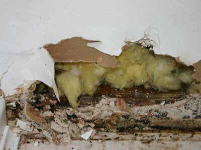 About Water Damage Restoration Payson North - water damage restoration experts in Payson North